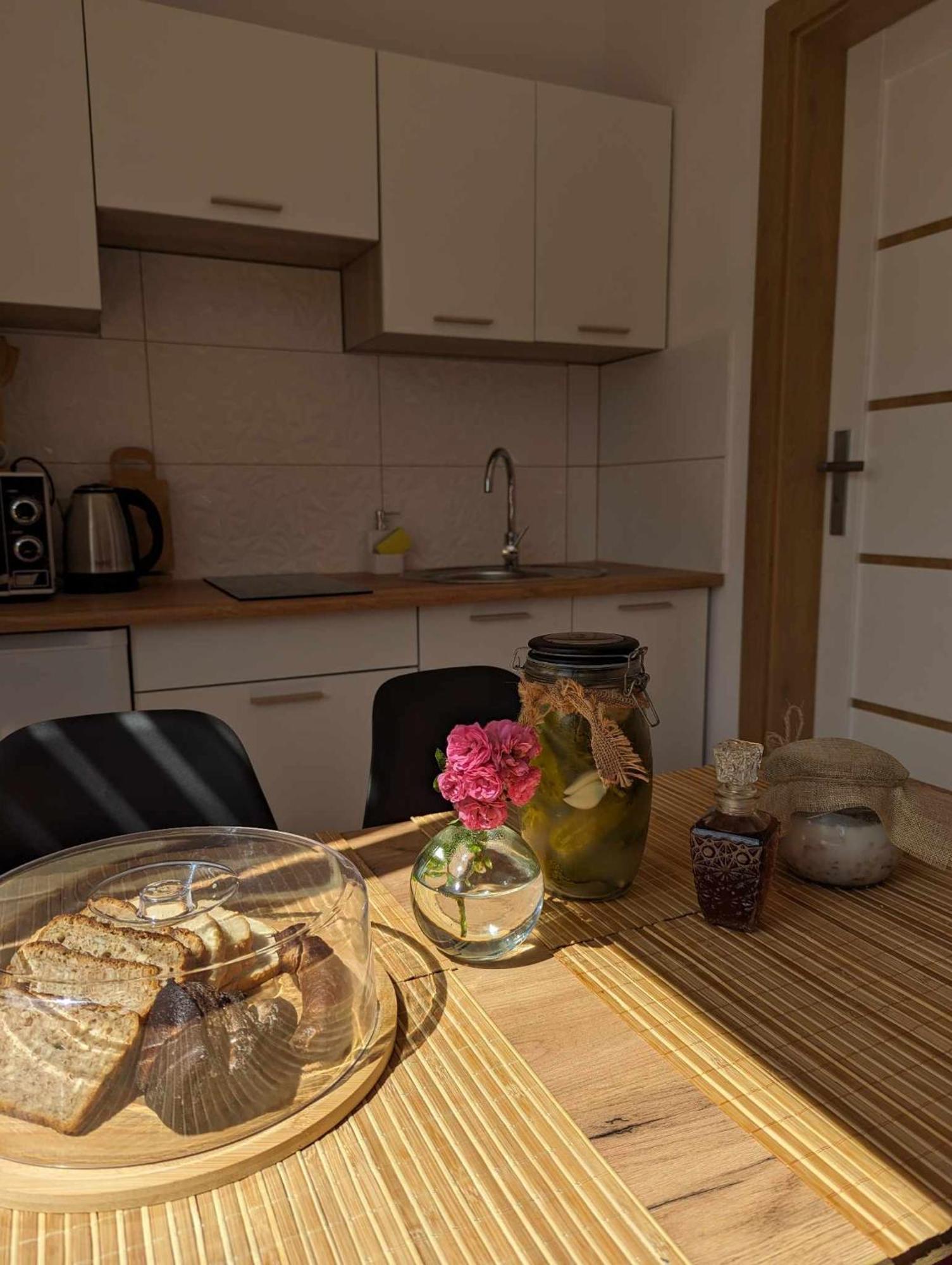 Apartament Domowe Zacisze Choczewo Zewnętrze zdjęcie